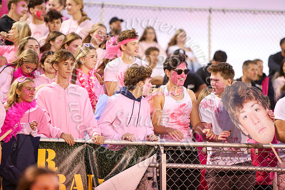 DVH_fans_19