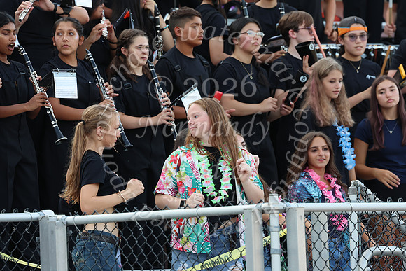 SVL_mb_in_stands_36