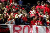 BER_fans_02