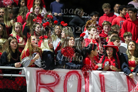 BER_fans_02