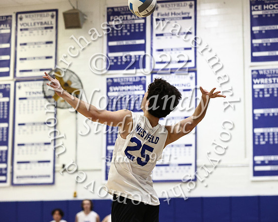 WHS_vb_b_v_70