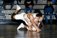 WRESTLING