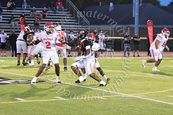 SVL_fb_26