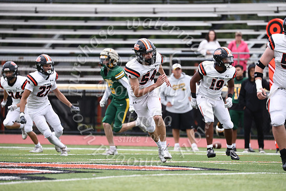 SVL_fb_jv-50