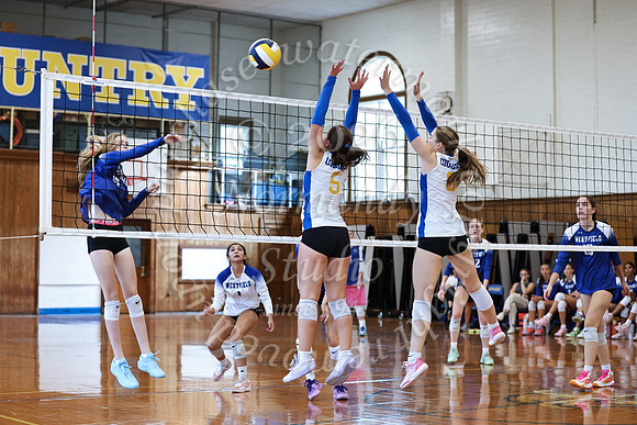 WHS_vbg_135