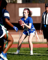 WHS_flag_fb_23