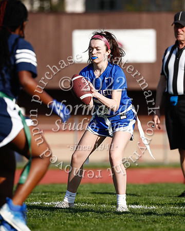 WHS_flag_fb_23