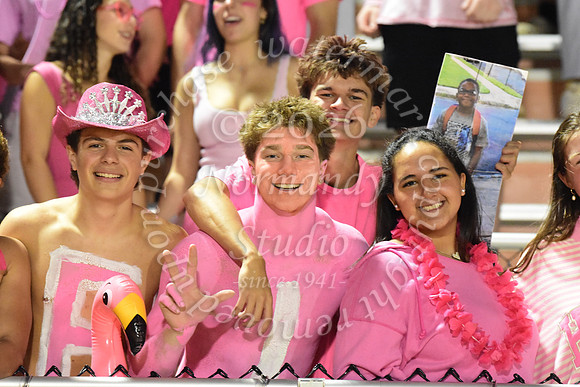 SVL_fans_19