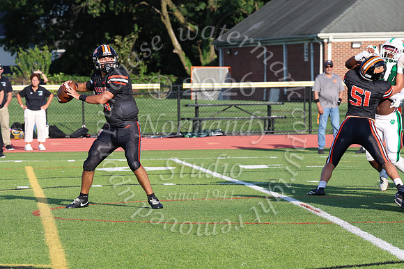 SVL_fb_043