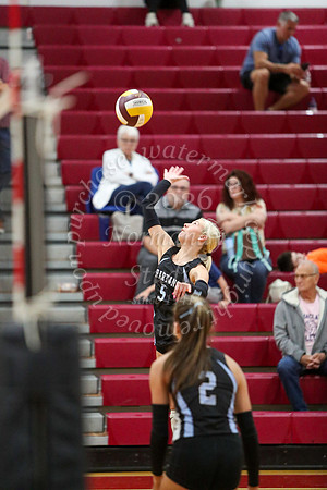 IMC_vb-g_33