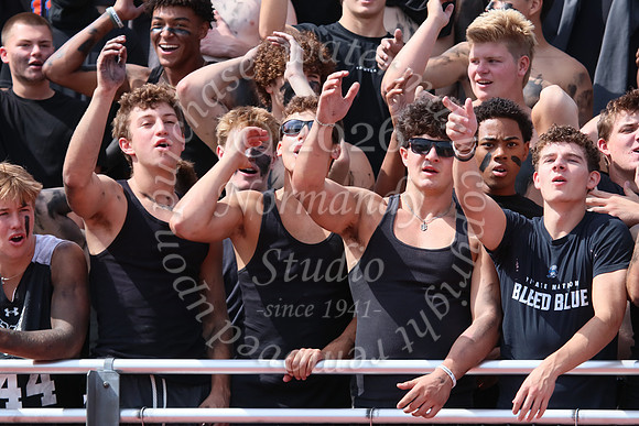 SHP_fans_17