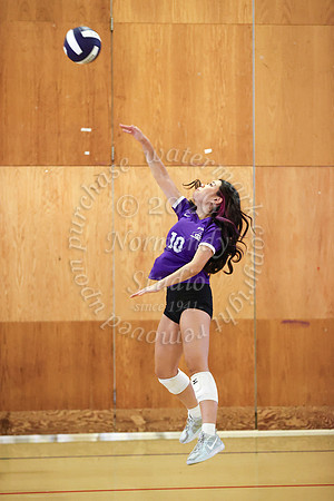 TOT_vb_g_-26