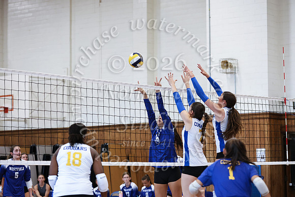 WHS_vbg_136