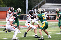 SVL_fb_jv-18