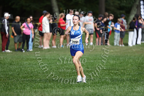WHS_cc_g_44