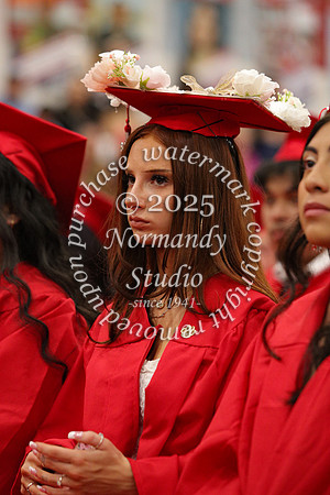 LIB_candids_39