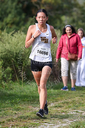 WTG_cc-g_36