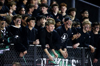 RDG_fb_fans_3