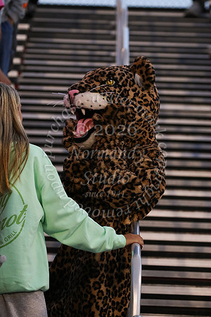 JTH_jungle2_29