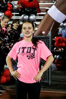 JTH_hc_court_6