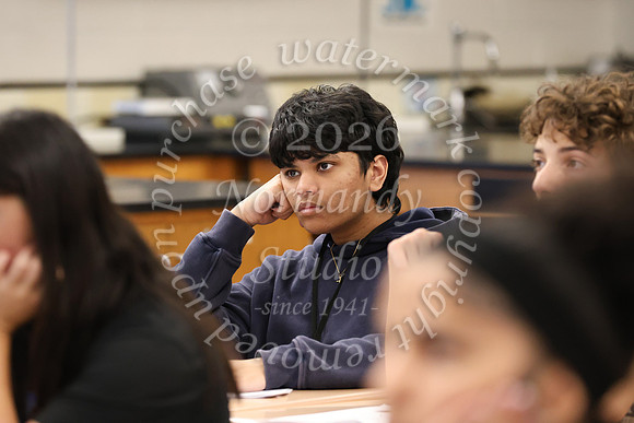 WHS_moleday-SLC-10