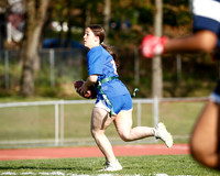 WHS_flag_fb_21