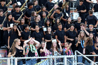 SVL_mb_in_stands_14