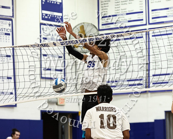 WHS_vb_b_v_62
