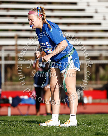 WHS_flag_fb_46