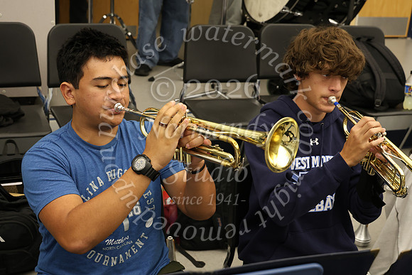 WMC_slc_032