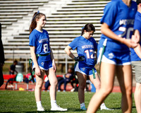 WHS_flag_fb_7