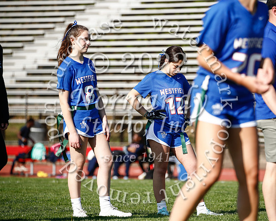WHS_flag_fb_7