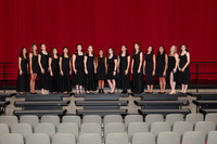 CHS_gala_groups_18
