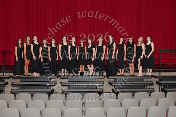 CHS_gala_groups_18