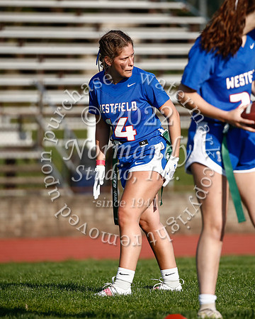 WHS_flag_fb_65
