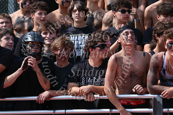 SHP_fans_33