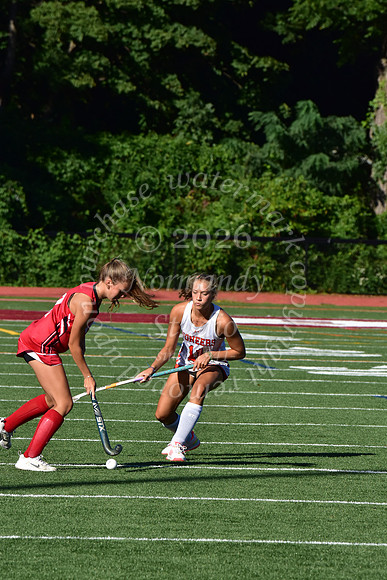 SVL_fh_61