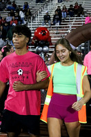 JTH_hc_court_13