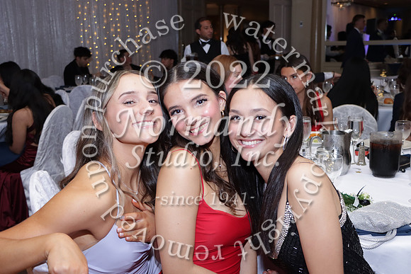 WTG_jr prom_58