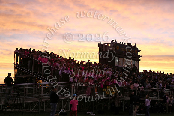 DVH_fans_34