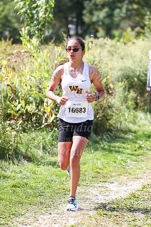 WTG_cc-g_22