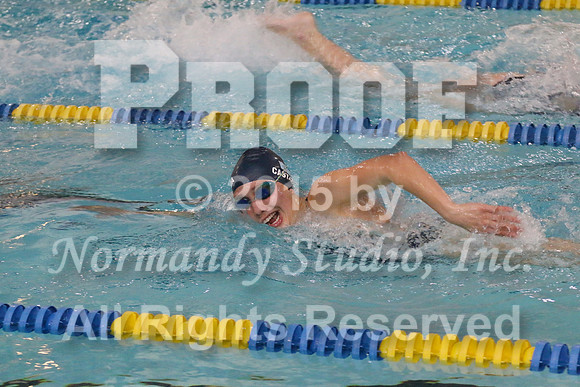 WMC_032_sw-g