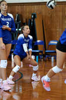 WHS_vb_g_-18