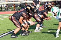 SVL_fb_014