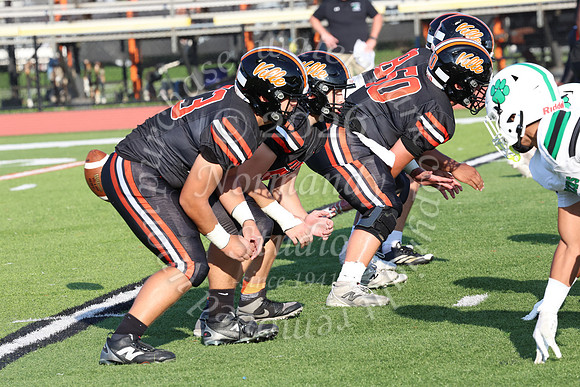 SVL_fb_014
