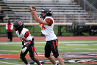 SVL_fb-f_15