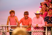 DVH_fans_14