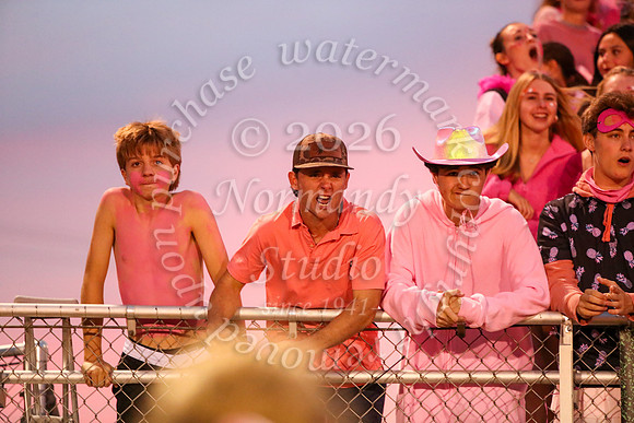 DVH_fans_14