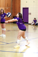 TOT_vb_g_-20