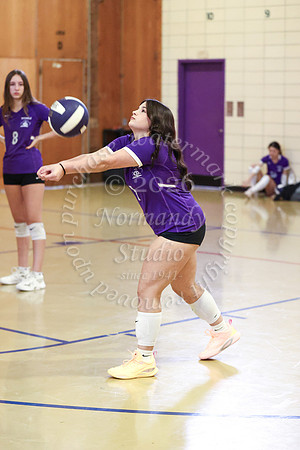 TOT_vb_g_-20